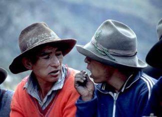 MAURIZIO BAGATIN: EL INDIO GREGORIO