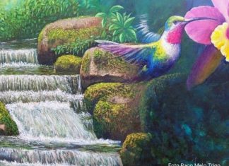 FANTASÍA PICTÓRICA “SUEÑOS DEL SUR”