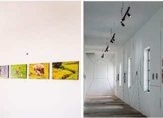 DEL PATRIMONIO RURAL Y NATURAL A LA CIUDAD DISTÓPICA EN UNA MUESTRA ARTÍSTICA